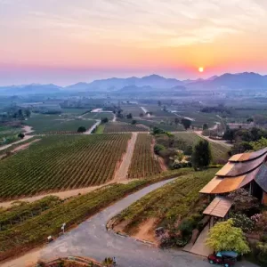 Scenic view of Monsoon Valley Vineyard, an activity partner of Fairways of Eden in Hua Hin, Thailand, offering wine tastings and vineyard tours.