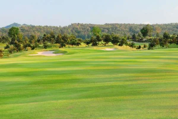 Silky Oak Country Club
