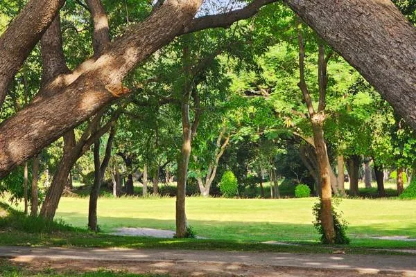 Royal Hua Hin Golf Course