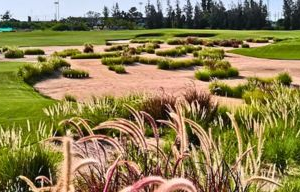 Ballyshear Golf Links 1