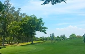 The Pine Golf Club 1