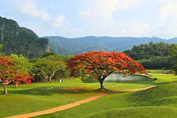 Khao Yai Country Club (3)